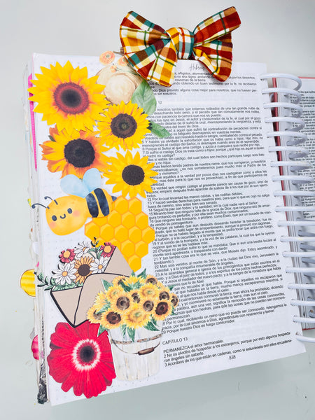 ISAIAS 35 Die Cut Set