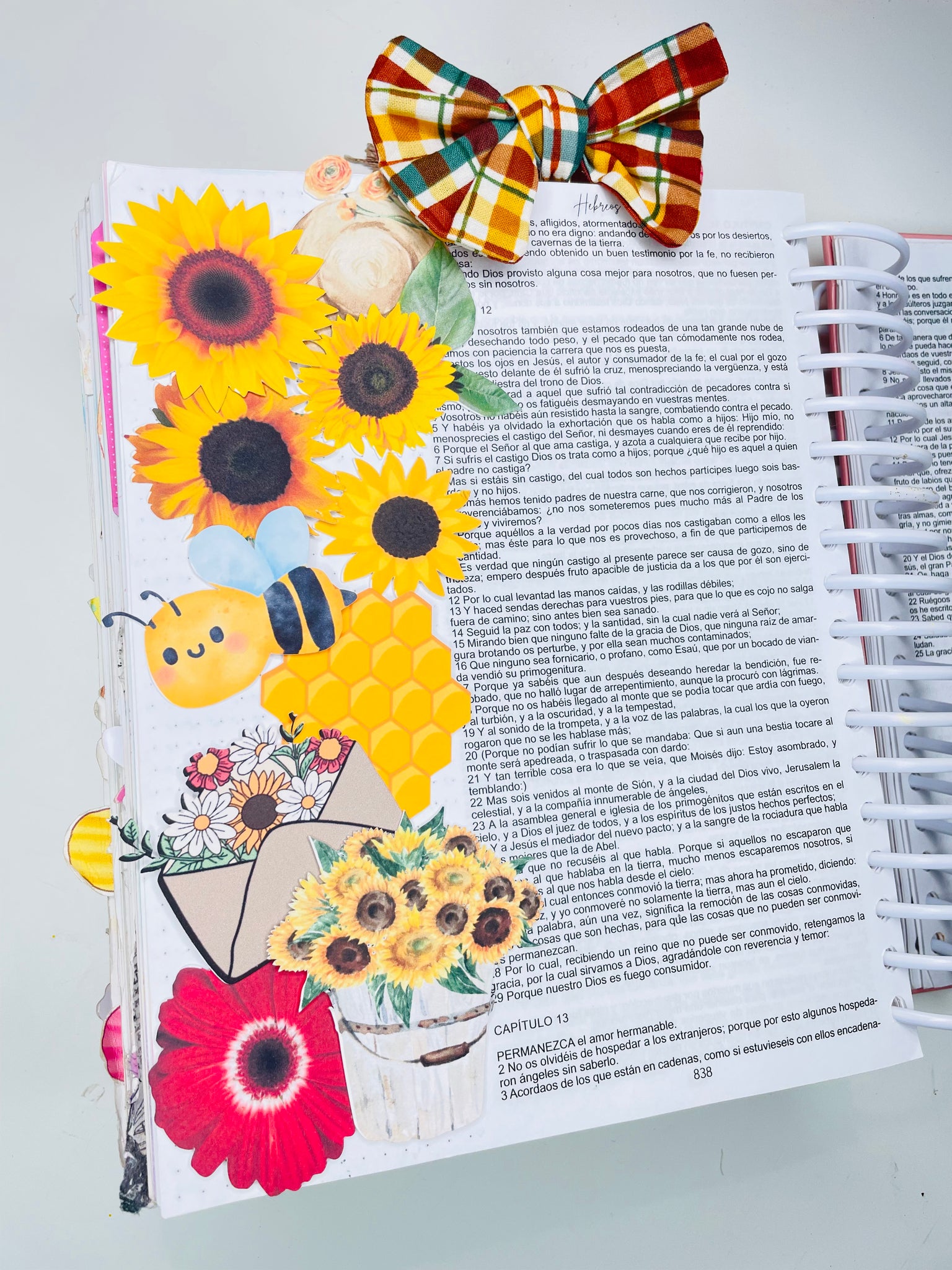 ISAIAS 35 Die Cut Set